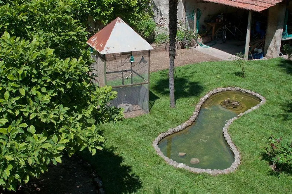 Borgo Largo 51 Bed & Breakfast Pisa