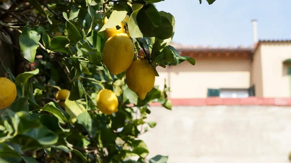 Borgo Largo 51 Bed & Breakfast Pisa 3*,